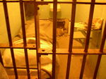 Alcatraz07172004 (18).jpg